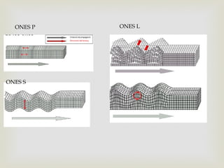 ONES P
ONES S
ONES L
 