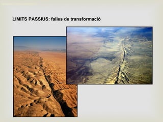 LIMITS PASSIUS: falles de transformació
MOVIMENT DELS CONTINENTS
 