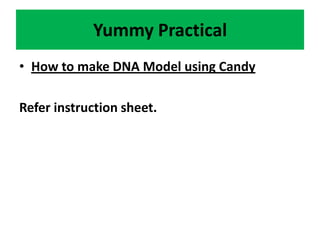 Yummy Practical
• How to make DNA Model using Candy
Refer instruction sheet.
 