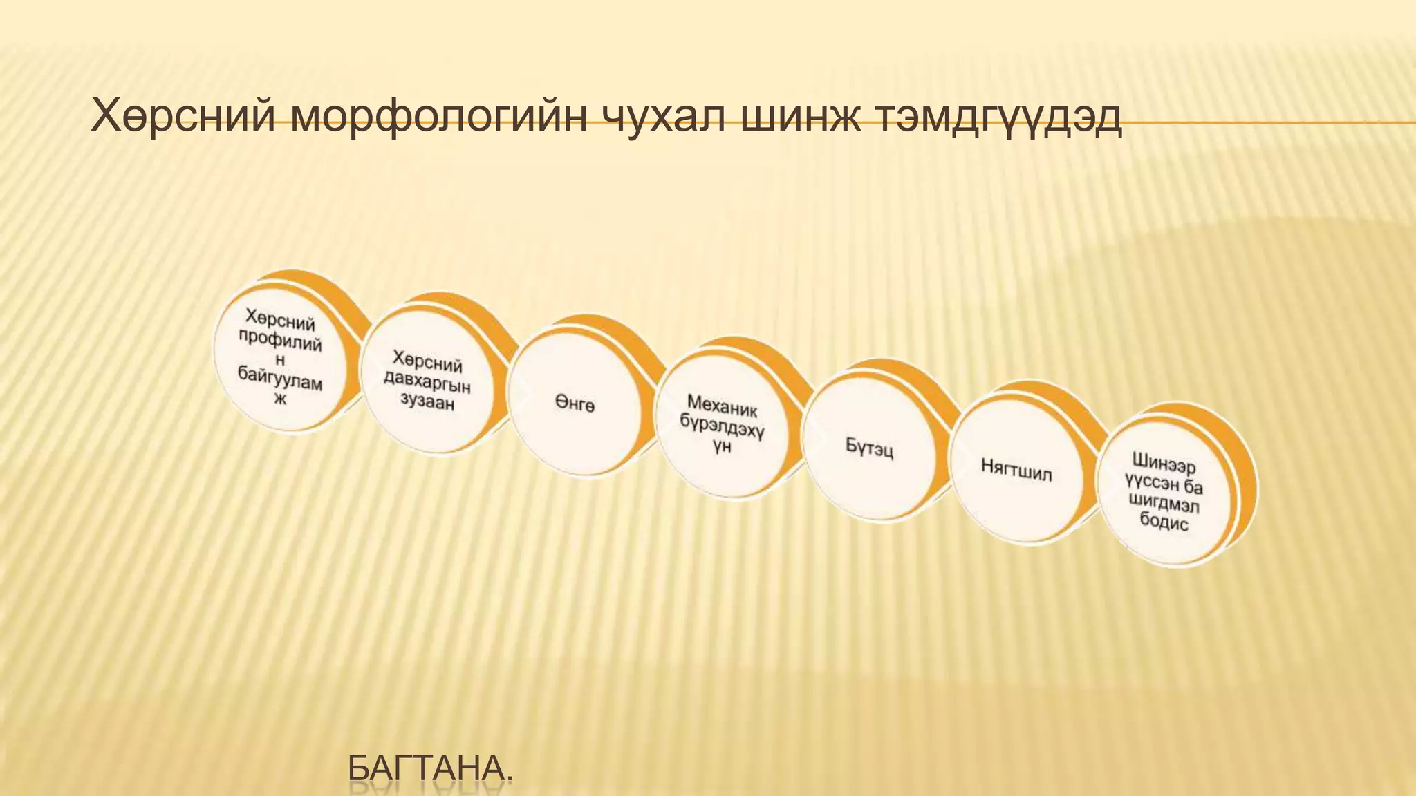 БАГТАНА.
Хөрсний морфологийн чухал шинж тэмдгүүдэд
 