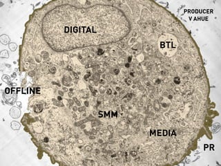 PRODUCER
V AHUE
DIGITAL
BTL
MEDIA
SMM
PR
OFFLINE
 