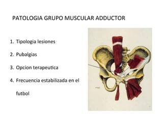 PATOLOGIA	
  GRUPO	
  MUSCULAR	
  ADDUCTOR	
  

1.  Tipologia	
  lesiones	
  
2.  Pubalgias	
  
3.  Opcion	
  terapeuAca	
  
4.  Frecuencia	
  estabilizada	
  en	
  el	
  
futbol	
  
	
  

 