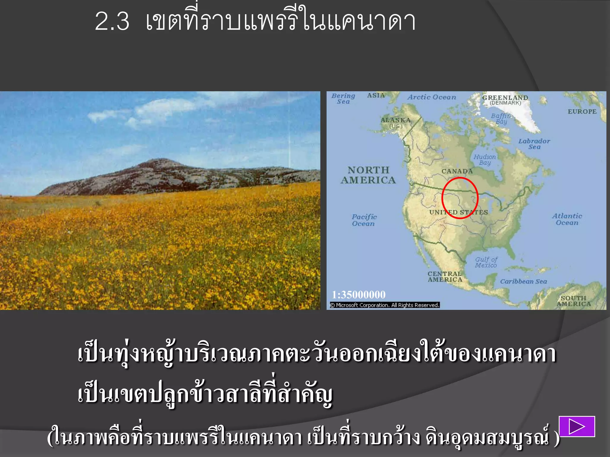 2.3 เขตที่ราบแพรรีในแคนาดา

1:35000000

เป็นทุ่งหญ้าบริเวณภาคตะวันออกเฉียงใต้ของแคนาดา
เป็นเขตปลูกข้าวสาลีที่สาคัญ
(ในภาพคือที่ราบแพรรีในแคนาดา เป็นที่ราบกว้าง ดินอุดมสมบูรณ์ )

 