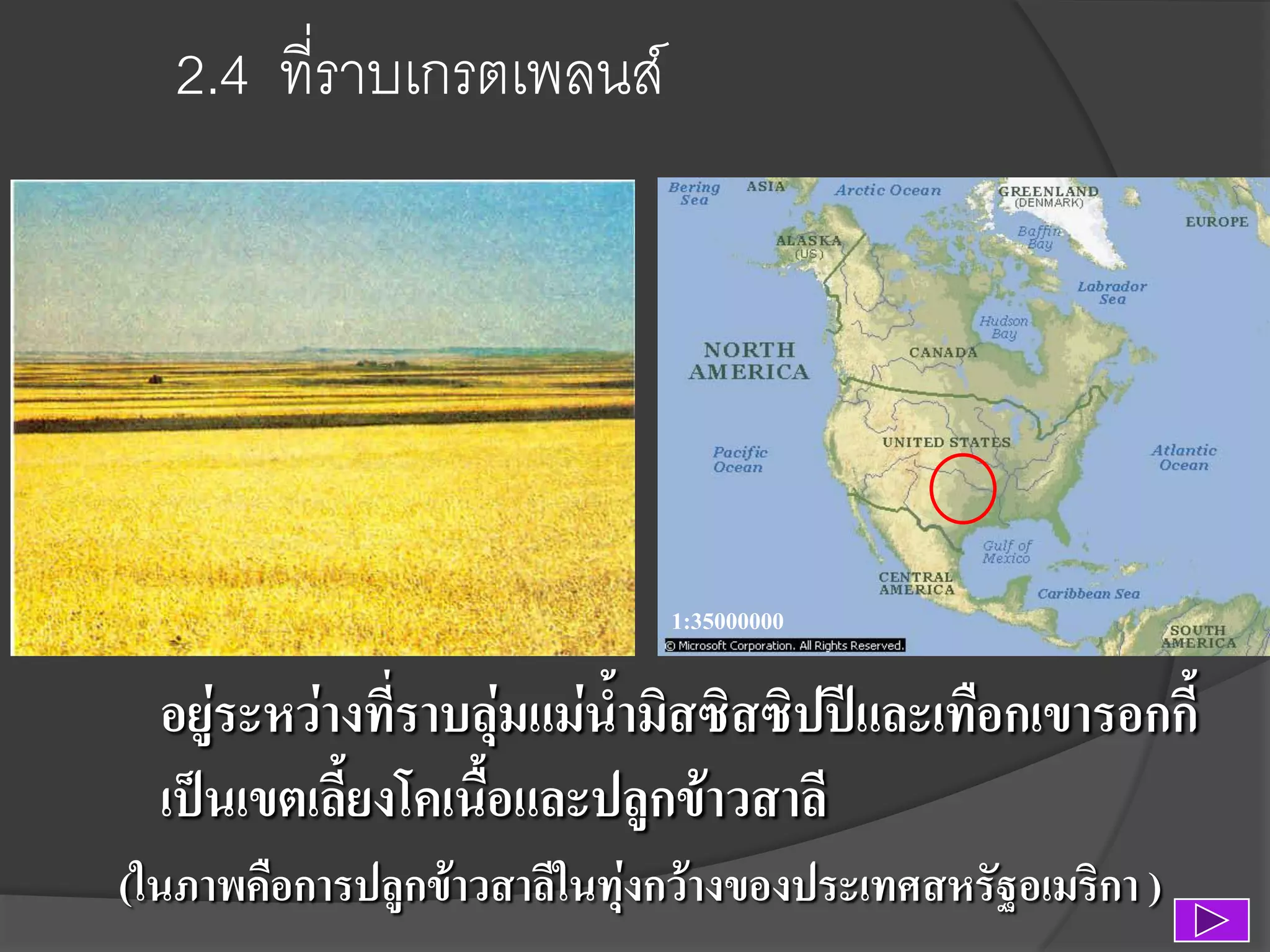 2.4 ที่ราบเกรตเพลนส์

1:35000000

อยู่ระหว่างที่ราบลุ่มแม่น้ามิสซิสซิปปีและเทือกเขารอกกี้
เป็นเขตเลี้ยงโคเนื้อและปลูกข้าวสาลี
(ในภาพคือการปลูกข้าวสาลีในทุ่งกว้างของประเทศสหรัฐอเมริกา )

 