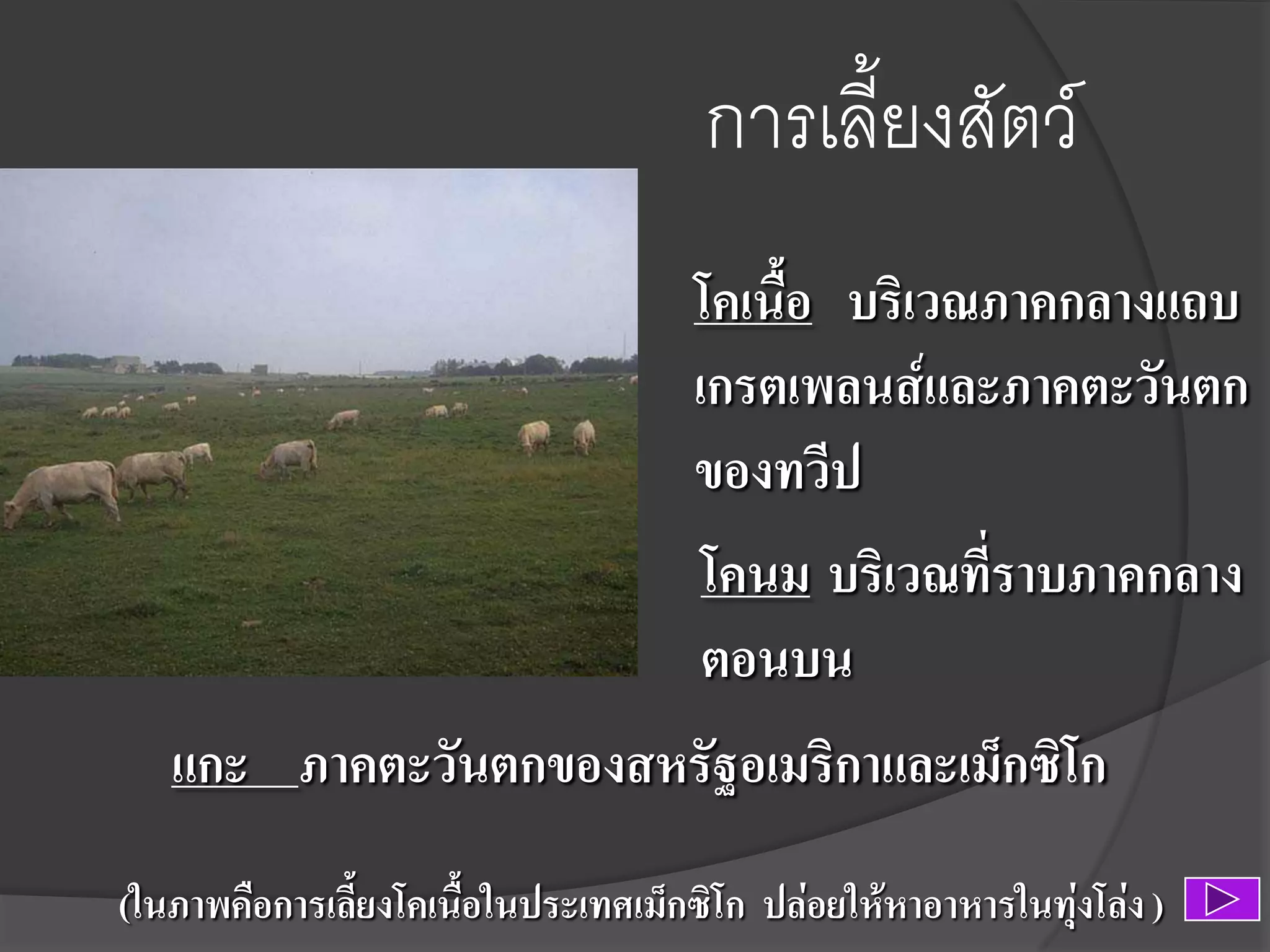การเลียงสัตว์
โคเนื้อ บริเวณภาคกลางแถบ
เกรตเพลนส์และภาคตะวันตก
ของทวีป
โคนม บริเวณที่ราบภาคกลาง
ตอนบน
แกะ ภาคตะวันตกของสหรัฐอเมริกาและเม็กซิโก
(ในภาพคือการเลี้ยงโคเนื้อในประเทศเม็กซิโก ปล่อยให้หาอาหารในทุ่งโล่ง )

 