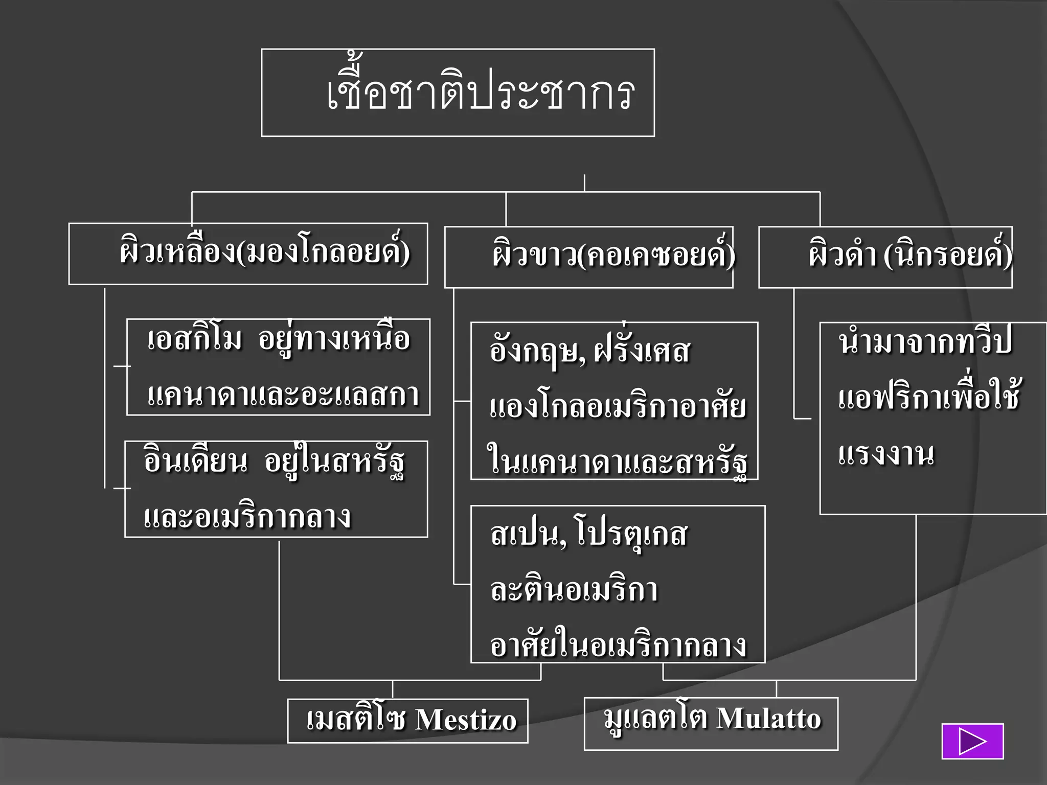 เชือชาติประชากร
ผิวเหลือง(มองโกลอยด์)

ผิวขาว(คอเคซอยด์)

ผิวดา (นิกรอยด์)

เอสกิโม อยู่ทางเหนือ
แคนาดาและอะแลสกา
อินเดียน อยู่ในสหรัฐ
และอเมริกากลาง

อังกฤษ, ฝรั่งเศส
แองโกลอเมริกาอาศัย
ในแคนาดาและสหรัฐ

นามาจากทวีป
แอฟริกาเพื่อใช้
แรงงาน

สเปน, โปรตุเกส
ละตินอเมริกา
อาศัยในอเมริกากลาง

เมสติโซ Mestizo

มูแลตโต Mulatto

 