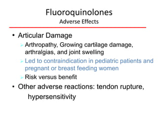 Fluoroquinolones
Adverse Effects

• Articular Damage
 Arthropathy,

Growing cartilage damage,
arthralgias, and joint swelling
 Led to contraindication in pediatric patients and
pregnant or breast feeding women
 Risk versus benefit

• Other adverse reactions: tendon rupture,
hypersensitivity

 