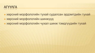 АГУУЛГА
хөрсний морфологийн тухай судалсан эрдэмтдийн тухай
 хөрсний морфологийн шинжүүд
 хөрсний морфологийн чухал шинж тэмдгүүдийн тухай


 