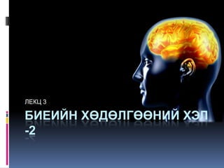 ЛЕКЦ 3

БИЕИЙН ХӨДӨЛГӨӨНИЙ ХЭЛ
-2

 