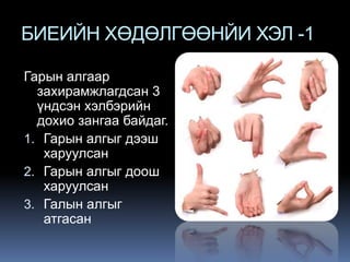 БИЕИЙН ХӨДӨЛГӨӨНЙИ ХЭЛ -1
Гарын алгаар
захирамжлагдсан 3
үндсэн хэлбэрийн
дохио зангаа байдаг.
1. Гарын алгыг дээш
харуулсан
2. Гарын алгыг доош
харуулсан
3. Галын алгыг
атгасан

 
