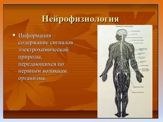 презентация к уроку 2