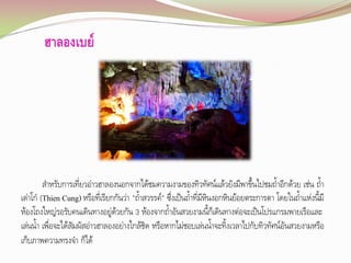 ฮาลองเบย์

ส้าหรับการเที่ยวอ่าวฮาลองนอกจากได้ชมความงามของทิวทัศน์แล้วยังมีพาขึ้นไปชมถ้้าอีกด้วย เช่น ถ้้า
เด่าโก๋ (Thien Cung) หรือที่เรียกกันว่า "ถ้าสวรรค์" ซึ่งเป็นถ้้าที่มีหินงอกหินย้อยตระการตา โดยในถ้้าแห่งนี้มี
้
ห้องโถงใหญ่รอรับคนเดินทางอยู่ด้วยกัน 3 ห้องจากถ้้าอันสวยงามนี้ก็เดินทางต่อจะเป็นโปรแกรมพายเรือและ
เล่นน้้า เพื่อจะได้สัมผัสอ่าวฮาลองอย่างใกล้ชิด หรือหากไม่ชอบเล่นน้้าจะทิ้งเวลาไปกับทิวทัศน์อันสวยงามหรือ
เก็บภาพความทรงจ้า ก็ได้

 