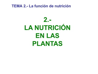 2.-
LA NUTRICIÓN
EN LAS
PLANTAS
TEMA 2.- La función de nutrición
 