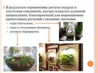 

В результате ограничения доступа воздуха и
отсутствия сквозняков, внутри создается влажный
микроклимат, благоприятный для выращивания
прихотливых растений с мелкими листьями.
сады в бутылках,
 сады в стеклянных витринах,
 зеленые террариумы.


12

 