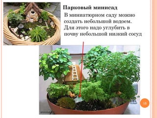 Парковый минисад
В миниатюрном саду можно
создать небольшой водоем.
Для этого надо углубить в
почву небольшой низкий сосуд

15
greendom.net

 