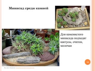 Минисад среди камней

Для каменистого
минисада подходят
кактусы, очиток,
молочаи

16
Фото с сайта «Зеленый дом» http://greendom.net/articles/123-mini-garden1.html

 