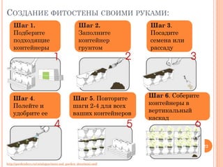 СОЗДАНИЕ ФИТОСТЕНЫ СВОИМИ РУКАМИ:
Шаг 1.
Подберите
подходящие
контейнеры

Шаг 4.
Полейте и
удобрите ее

Шаг 2.
Заполните
контейнер
грунтом

Шаг 5. Повторите
шаги 2-4 для всех
ваших контейнеров

Шаг 3.
Посадите
семена или
рассаду

Шаг 6. Соберите
контейнеры в
вертикальный
каскад

22

http://gardendeco.ru/catalogue/mini-sad_garden_deco/mini-sad/

 