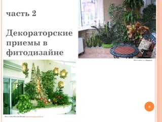 часть 2
Декораторские
приемы в
фитодизайне
Фото с сайта http://blog.kp.ru

6
Фото с сайта «Веселый Жираф» http://www.happy-giraffe.ru/

 