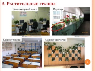 2. РАСТИТЕЛЬНЫЕ

ГРУППЫ

Компьютерный класс

Коридор

Сош № 17 пос. Тепличный (Нижневартовск) Тюменская обл.
Фото с сайта http://school17.do.am/photo/1-21-0-0-2

Кабинет химии

Фото с сайта http://www.proshkolu.ru

Кабинет биологии

9

Фото с сайта http://www.pskovgorod.ru/

Фото с сайта http://vikulovo.net/2009/03/111/

 