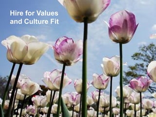 Hire for Values
and Culture Fit

 