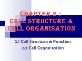CHAPTER 2 :
CELL STRUCTURE &
CELL ORGANISATION
2.1 Cell Structure & Function
2.2 Cell Organisation

 