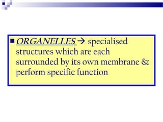  ORGANELLES

 specialised
structures which are each
surrounded by its own membrane &
perform specific function

 