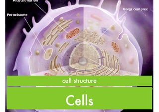 the cell

 