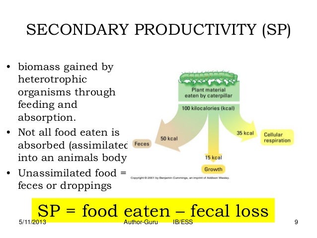 what is secondary primary production