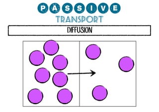 0;MMCP?
Transport
DIFFUSION

 