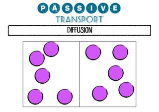 0;MMCP?
Transport
DIFFUSION

 