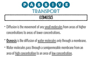 0;MMCP?
Transport
OSMOSIS

•

•
•

Diffusion is the movement of any small molecules from areas of higher
concentrations to areas of lower concentrations.
Osmosis is the diffusion of water molecules only through a membrane.
Water molecules pass through a semipermeable membrane from an
area of high concentration to an area of low concentration.

 