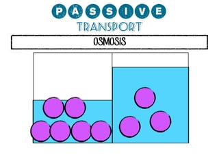 0;MMCP?
Transport
OSMOSIS

 