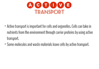 !=NCP?
Transport

Active transport is important for cells and organelles. Cells can take in
nutrients from the environment through carrier proteins by using active
transport.
• Some molecules and waste materials leave cells by active transport.
•

 
