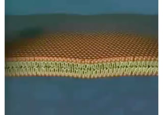 Moving Cellular Material 