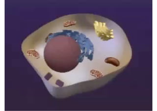 Moving Cellular Material 