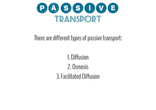 0;MMCP?
Transport

There are different types of passive transport:
1. Diffusion
2. Osmosis
3. Facilitated Diffusion

 