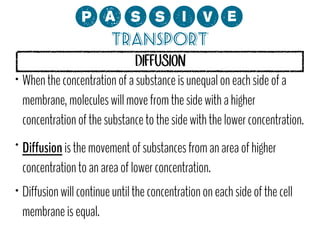 0;MMCP?

Transport
DIFFUSION
• When the concentration of a substance is unequal on each side of a
membrane, molecules will move from the side with a higher
concentration of the substance to the side with the lower concentration.
•

•

Diffusion is the movement of substances from an area of higher
concentration to an area of lower concentration.
Diffusion will continue until the concentration on each side of the cell
membrane is equal.

 