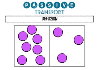 0;MMCP?
Transport
DIFFUSION

 
