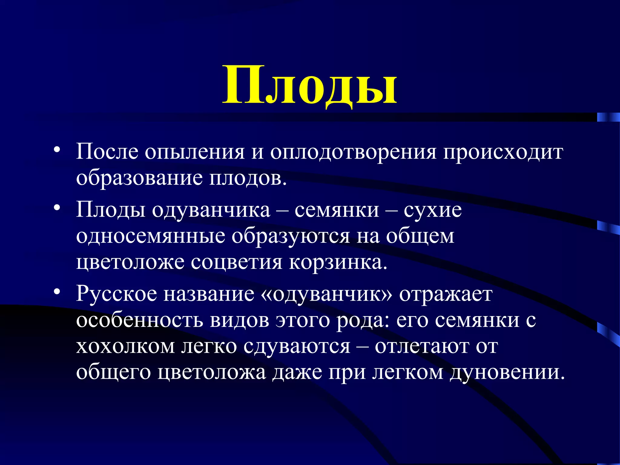 Плоды
• После опыления и оплодотворения происходит
образование плодов.
• Плоды одуванчика – семянки – сухие
односемянные образуются на общем
цветоложе соцветия корзинка.
• Русское название «одуванчик» отражает
особенность видов этого рода: его семянки с
хохолком легко сдуваются – отлетают от
общего цветоложа даже при легком дуновении.

 