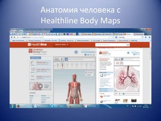 Анатомия человека с
Healthline Body Maps

 