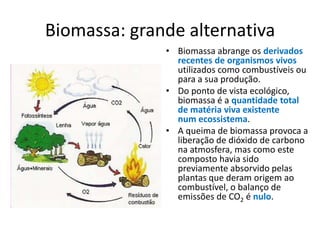 Biomassa: grande alternativa
• Biomassa abrange os derivados
recentes de organismos vivos
utilizados como combustíveis ou
para a sua produção.
• Do ponto de vista ecológico,
biomassa é a quantidade total
de matéria viva existente
num ecossistema.
• A queima de biomassa provoca a
liberação de dióxido de carbono
na atmosfera, mas como este
composto havia sido
previamente absorvido pelas
plantas que deram origem ao
combustível, o balanço de
emissões de CO2 é nulo.

 