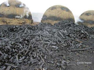 Carvão Vegetal

 