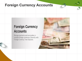 Foreign Currency Accounts

 
