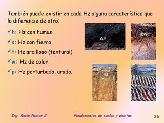 También puede existir en cada Hz alguna característica que
lo diferencie de otro:
h: Hz con humus
s: Hz con fierro
t: Hz arcilloso (textural)
w: Hz de color
p: Hz perturbado, arado.

Ing. Rocío Pastor J.

Fundamentos de suelos y plantas

26

 
