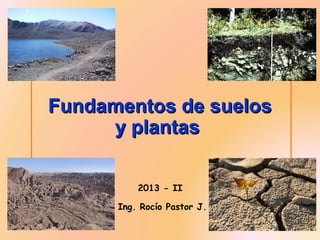 Fundamentos de suelos
y plantas
2013 - II
Ing. Rocío Pastor J.

 