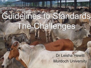 Guidelines to Standards
The Challenges

 