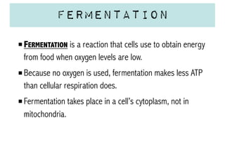 Fermentation
FERMENTATION is a reaction that cells use to obtain energy
from food when oxygen levels are low.
Because no oxygen is used, fermentation makes less ATP
than cellular respiration does.
Fermentation takes place in a cell’s cytoplasm, not in
mitochondria.

 