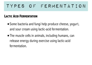 Types of Fermentation
LACTIC ACID FERMENTATION
Some bacteria and fungi help produce cheese, yogurt,
and sour cream using lactic-acid fermentation.
The muscle cells in animals, including humans, can
release energy during exercise using lactic-acid
fermentation.

 