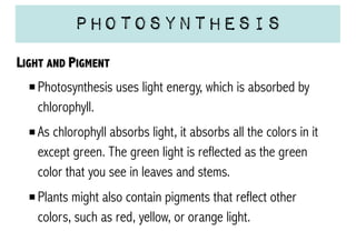 Photosynthesis
LIGHT AND PIGMENT
Photosynthesis uses light energy, which is absorbed by
chlorophyll.
As chlorophyll absorbs light, it absorbs all the colors in it
except green. The green light is reflected as the green
color that you see in leaves and stems.
Plants might also contain pigments that reflect other
colors, such as red, yellow, or orange light.

 