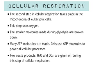 Cellular Respiration
The second step in cellular respiration takes place in the
mitochondria of eukaryotic cells.
This step uses oxygen.
The smaller molecules made during glycolysis are broken
down.
Many ATP molecules are made. Cells use ATP molecules to
power all cellular processes.
Two waste products, H2O and CO2, are given off during
this step of cellular respiration.

 